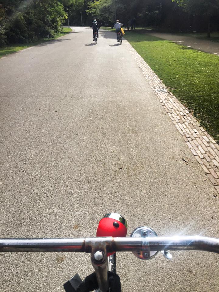 Photo from bike in Amsterdam. Read tips on what to know about biking in Amsterdam, the Netherlands from a resident. Includes advice on renting a bike in Amsterdam. #travel #amsterdam #netherlands #biking