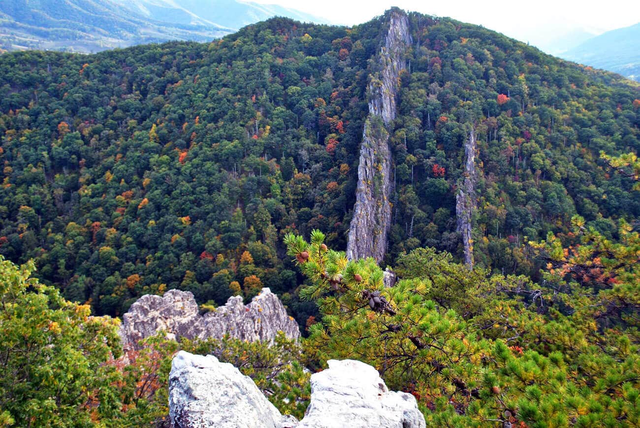 Atemberaubende Aussicht auf die Nelson Rocks vom Nelson Rocks Via Ferrata in West Virginia!