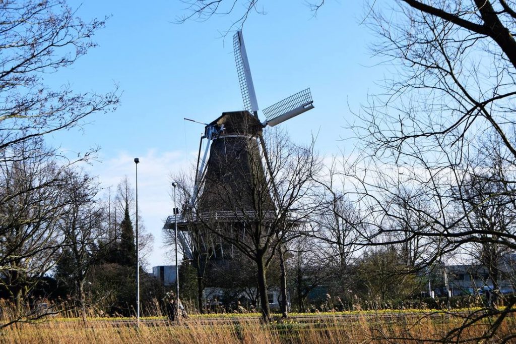 A windmill in Westerpark.  read about the most instagrammable spots in Amsterdam with tips from a local photographer on the best places to take photos in Amsterdam! 