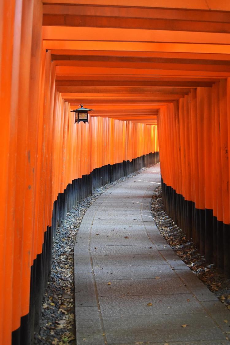 Photo of the gates at the Fushimi Inari shrine in Kyoto, one of the must-see attractions in Kyoto! #travel #asia #japan #kyoto