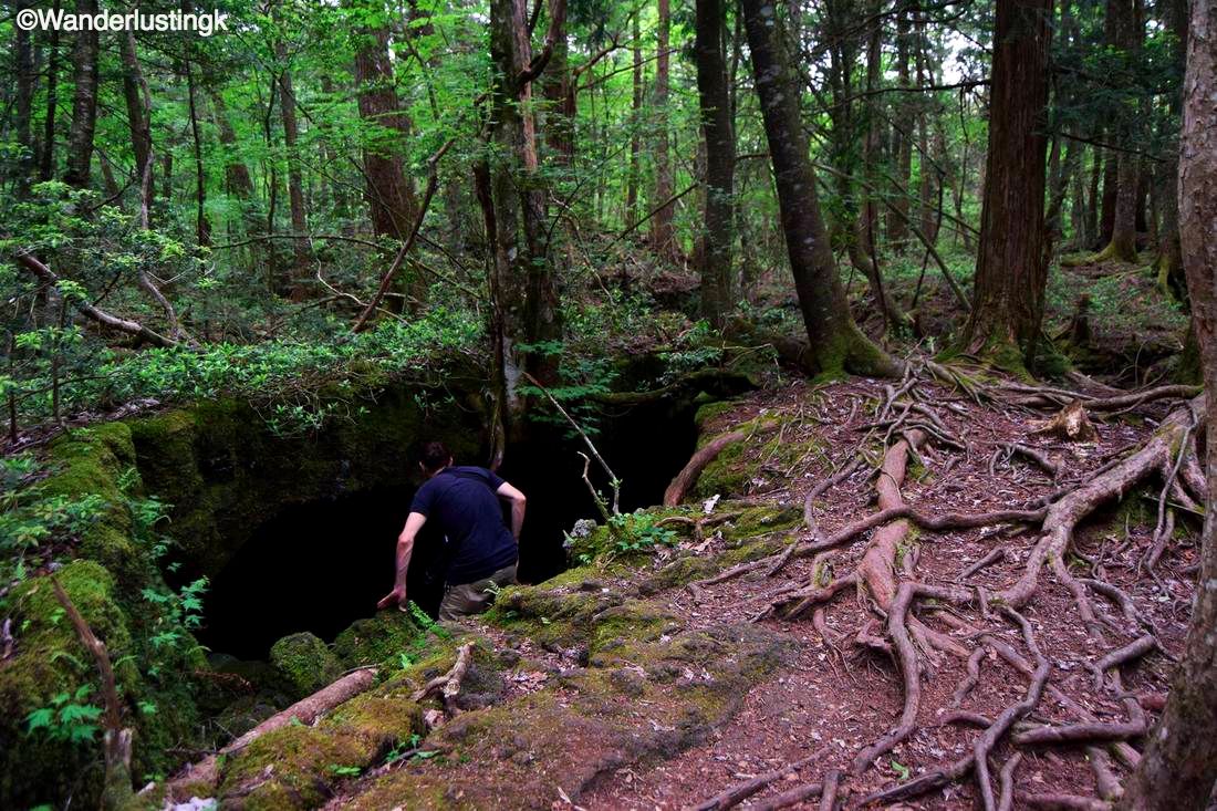 Photo of a cave in the Aokigahara forest, known as the sea of trees in Japan.