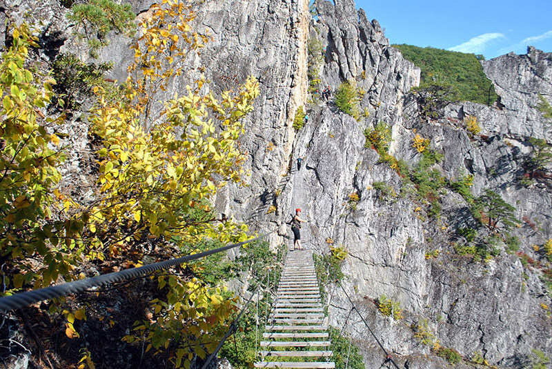 Eine Frau geht über die Brücke des Nelson Rocks Klettersteigs, einem der besten Klettersteige in den USA!