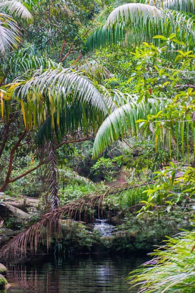 Waterfall pool in Bako National Park in Malaysia. Read travel tips for Bako National Park and find out if you should visit Bako for more than one day. #Bako #Malaysia #Kuching #Borneo 