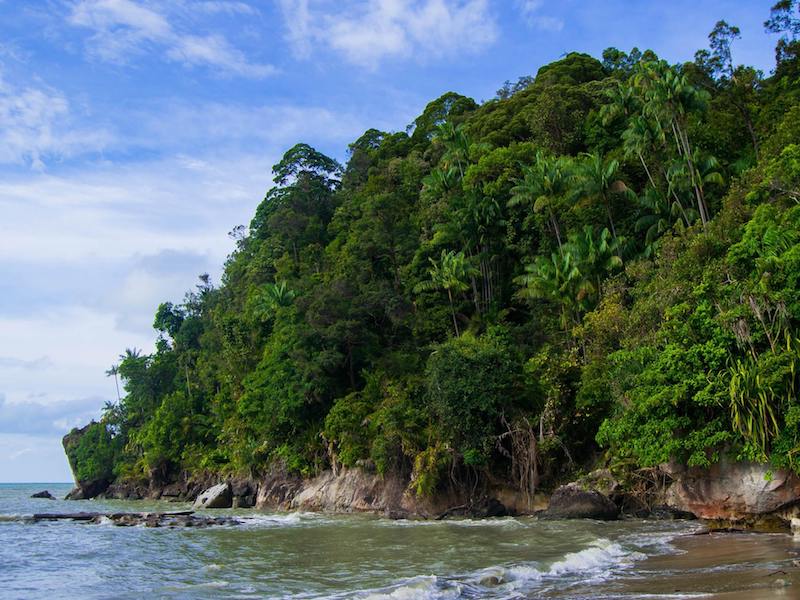 Photo of secluded beach in Bako National Park. Tips for what to bring to Bako and travel tips for visiting Bako National Park.