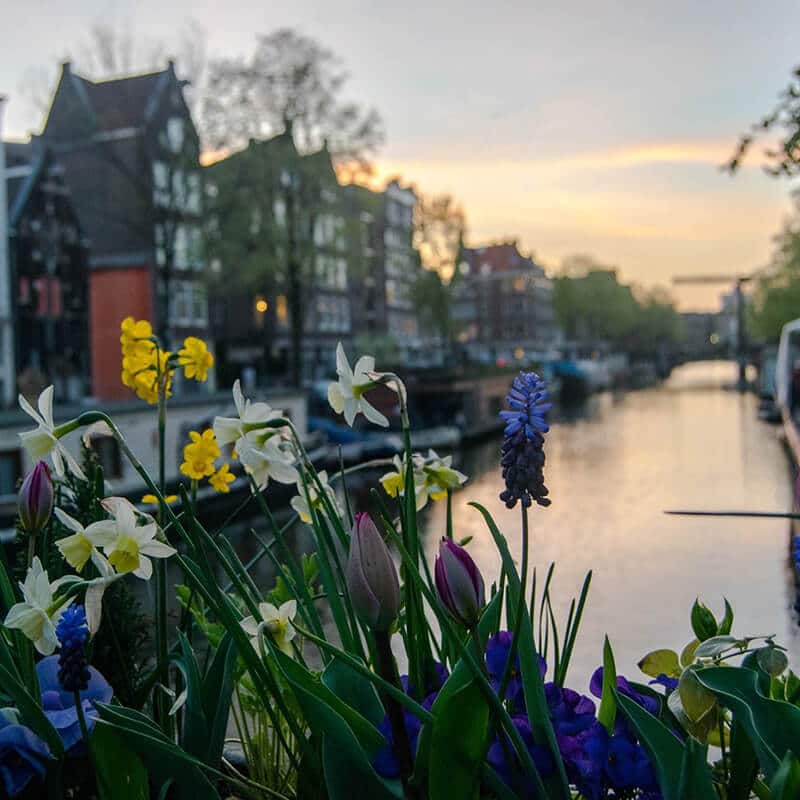 Beautiful sunset along Brouwersgracht, one of the best kept secrets of Amsterdam.  This beautiful canal in the Jordaan can't be missed! #travel #amsterdam #netherlands #holland #nederland #sunset 