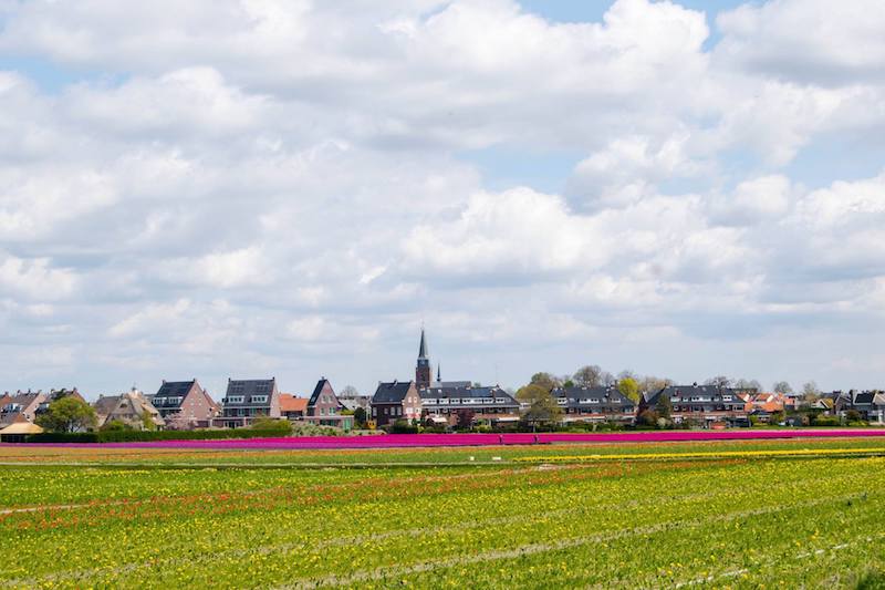 Photo of Hillegom, a town near Keukenhof with many tulip fields to visit for free in the Netherlands!