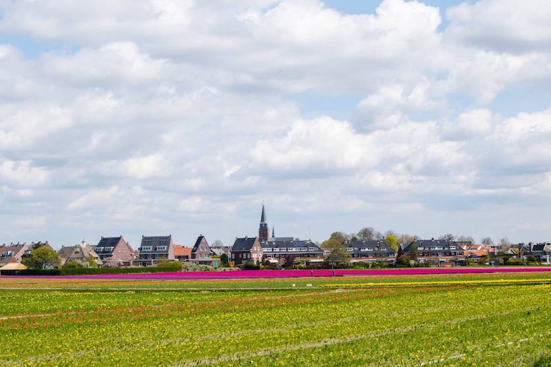 Foto von Hillegom, einer Stadt in der Nähe von Keukenhof mit vielen Tulpenfeldern, die man in den Niederlanden kostenlos besuchen kann!