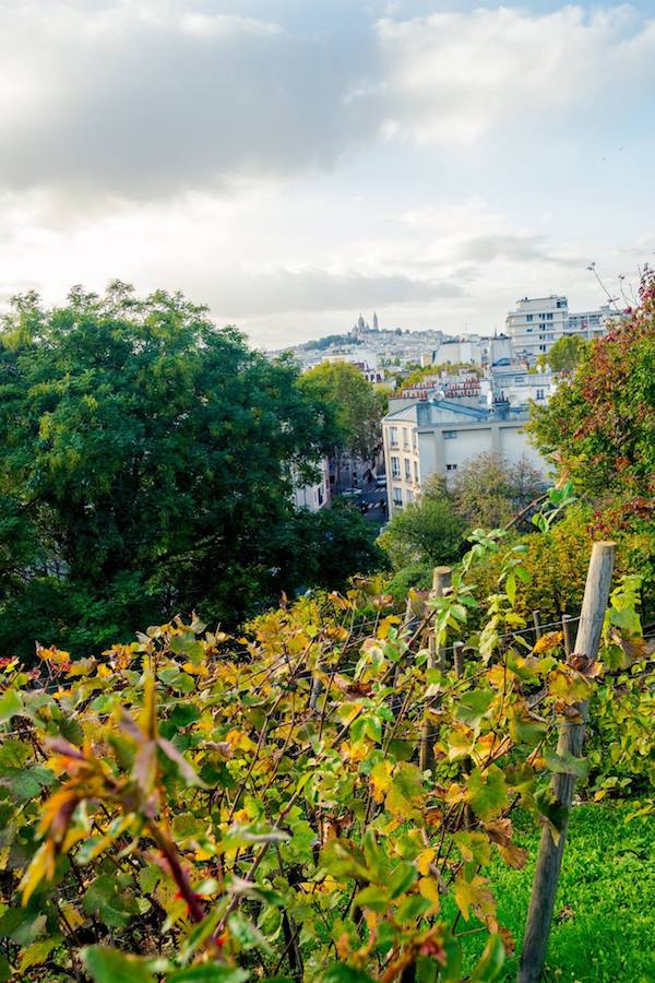 Views over Paris at a secret spot in Paris. Get your perfect Paris itinerary with insider tips for the best things to do in Paris. #Paris #travel #europe #France