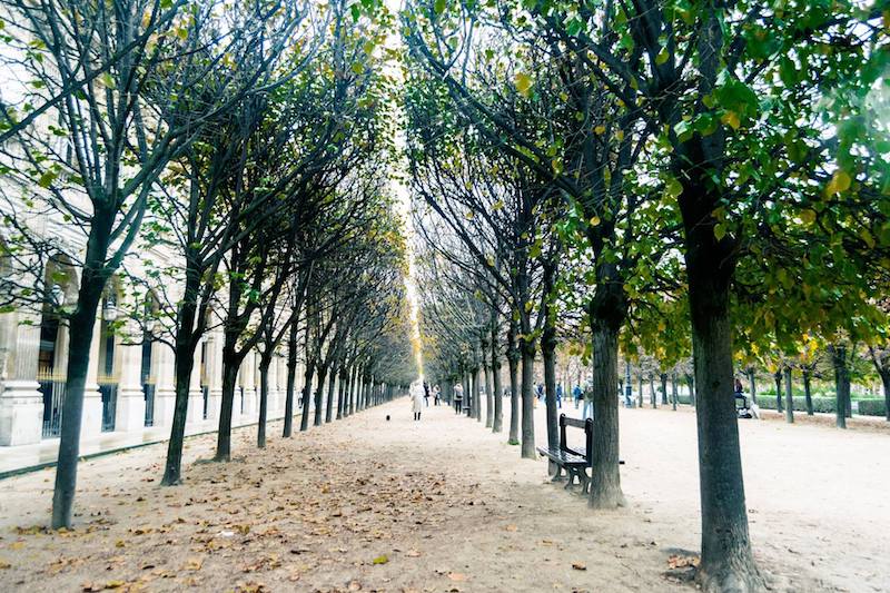 Foto des Jardin du Palais Royal in Paris, einer Station auf einem kostenlosen, selbstgeführten Rundgang durch die überdachten Passagen von Paris.