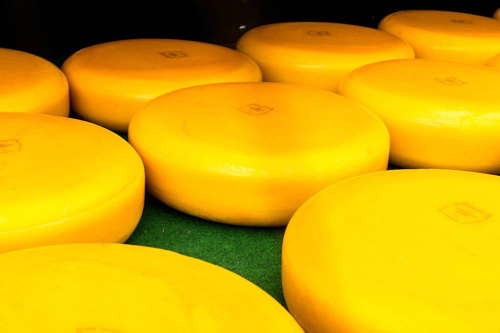 Cheese at the Woerden kaasmarkt in Woerden, the Netherlands. Read about the last real Dutch cheese market! #travel #cheese #netherlands #dutch #boerenkaas