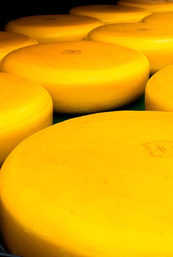 Dutch cheese (boerenkaas) at the Woerden Cheese Market (Woerden Kaasmarkt). Read about visiting the Woerden cheese market, one of the best Dutch cheese markets! #travel #dutch #cheese #netherlands #holland