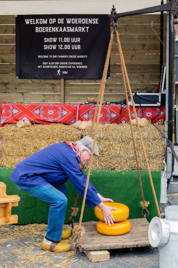 Farmer loading up the cheeses at the Woerden kaasmarkt, one of the last Dutch cheese markets in the Netherlands. Read about the Woerden cheese market! #travel #cheese #netherlands #gouda