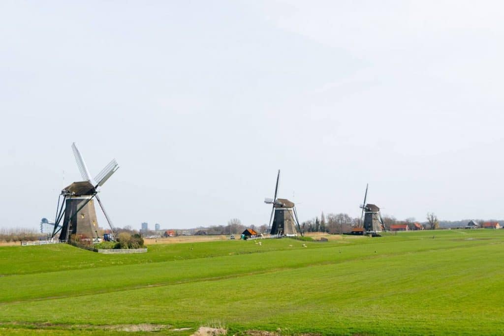 Molendriegang, one of the most famous landmarks of the Hague area. These Three Windmills outside of the Hague are easy to visit on a bike ride from the Hague. #holland #travel #hague #molen #windmills