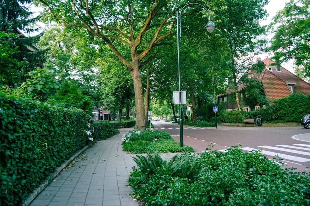 Beautiful lush streets of the Villapark neighborhood in Eindhoven, a leafy neighborhood where the industry barons used to live. #Eindhoven #Netherlands #philips