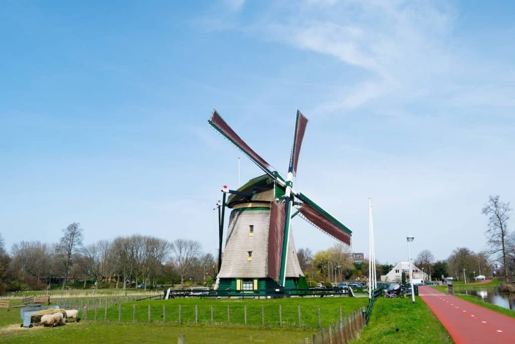 Essesteijn, a children's farm in Voorburg with a historic windmill musuem that you can visit on a bike trip from the Hague. #hague #holland #travel 
