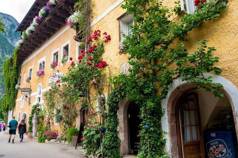 Couple admiring the beautiful architecture of Hallstatt, Austria with a brief view of the mountains.  This beautiful yellow house covered in ivy with flowers is beautiful.