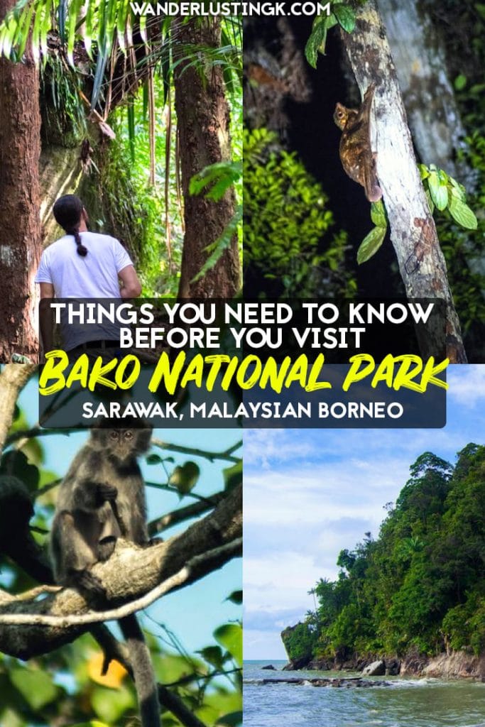 Tips for visiting Bako National Park in Sarawak, Malaysia. Tips for staying overnight or hiking in Bako National Park. #Malaysia #Travel #Bako #Borneo