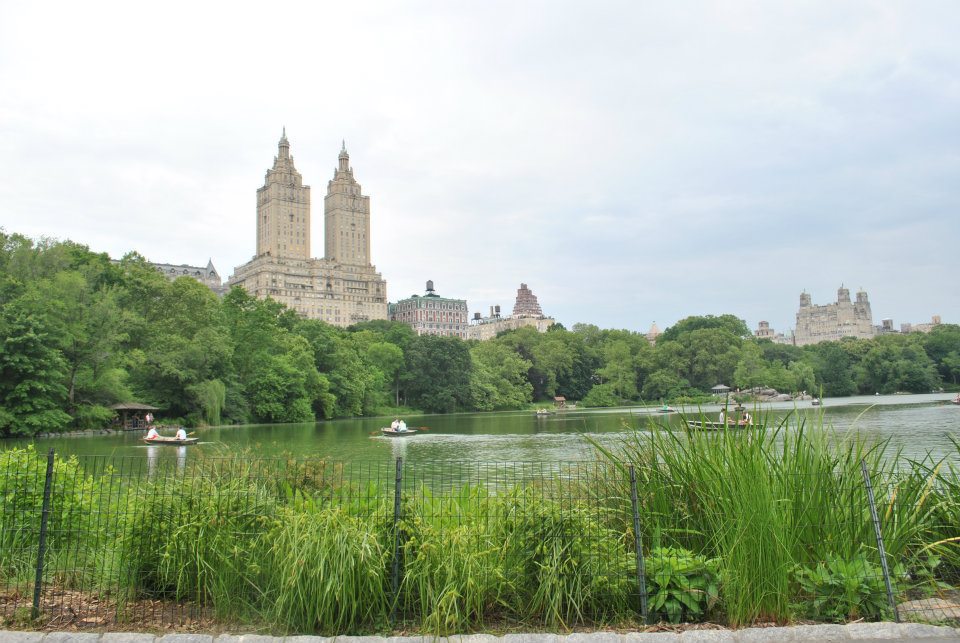 View of New York City from Central Park. Read what to do in New York in one day! #travel #NYC