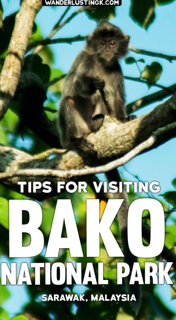 Tips for visiting Bako National Park in Borneo! Read what you need to bring to Bako National Park. #Malaysia #Travel #Bako #Borneo #Kuching