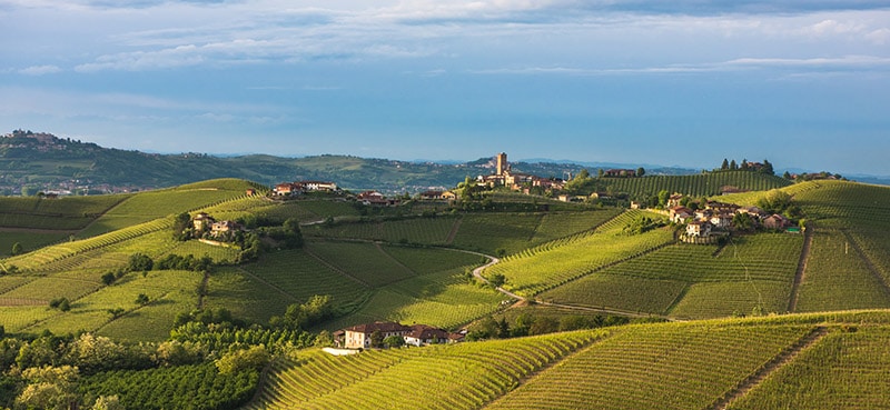 Photo of Vineyards of Langhe Piedmont, one of the reasons to visit the Piedmont region of Italy. Read why you need to visit Turin Italy!