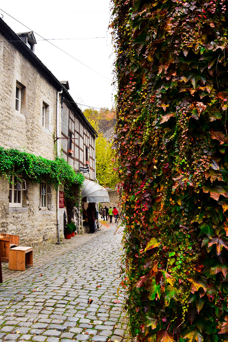 Beautiful vine and view of Durbuy Belgium. Discover one of the best day trips from Bruxelles! 