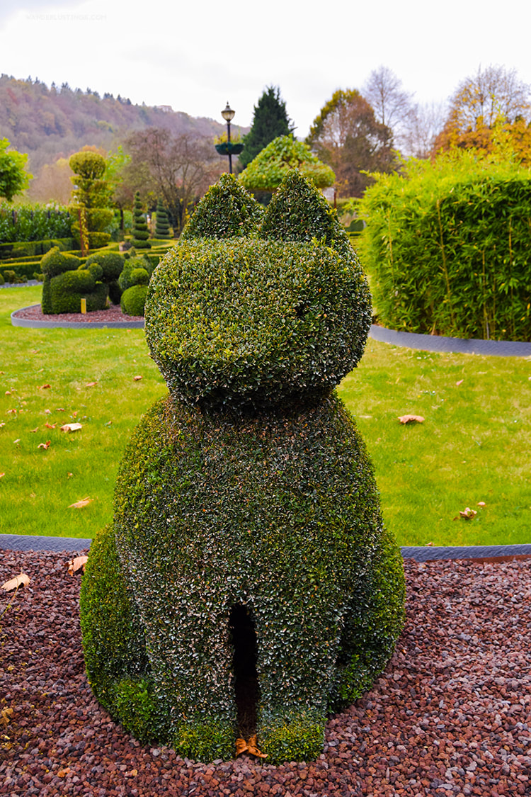  Cat topiary sculpture in Le Parc des Topiaries in Durbuy Belgium. 