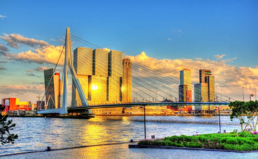 View of the Erasmus bridge in Rotterdam. Enjoying the views of this famous bridge is one of the best things to do in Rotterdam. 