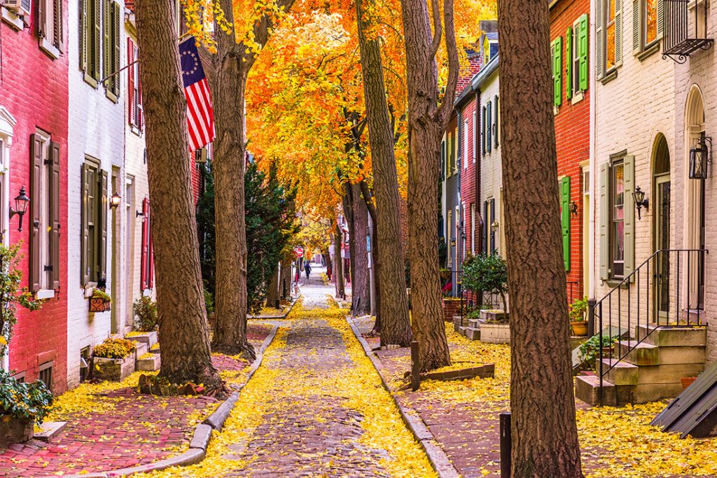 A beautiful street in Philadelphia in fall. Read more local secrets to Philadelphia and how to spend a nice weekend in Philadelphia. #travel #Philadelphia #PA #USA #UnitedStates 