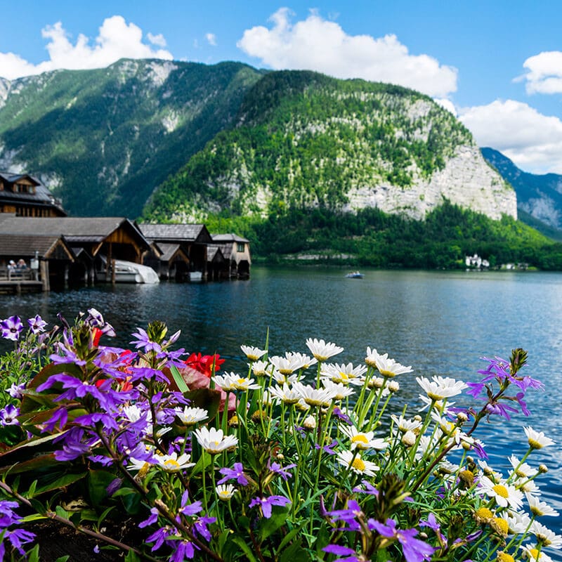 Beautiful waterside view of Hallstatt.  Read how to save money in Austria. #travel #austria