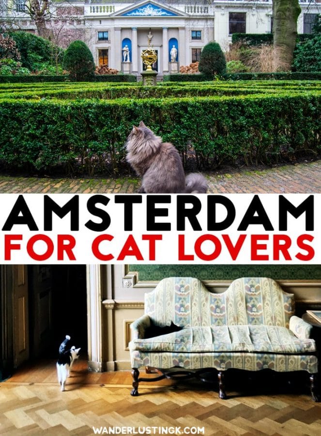 Love #cats? Your cat themed guide to Amsterdam with the best cat cafes in Amsterdam, the cat boat, & a cat museum. #Travel #Amsterdam #Netherlands