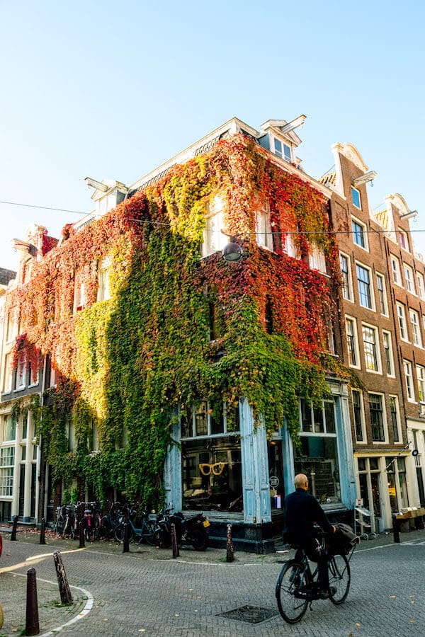 Beautiful ivy covered building in the Jordaan along one of the prettiest streets in Amsterdam that you won't want to miss! #amsterdam #netherlands #holland #travel