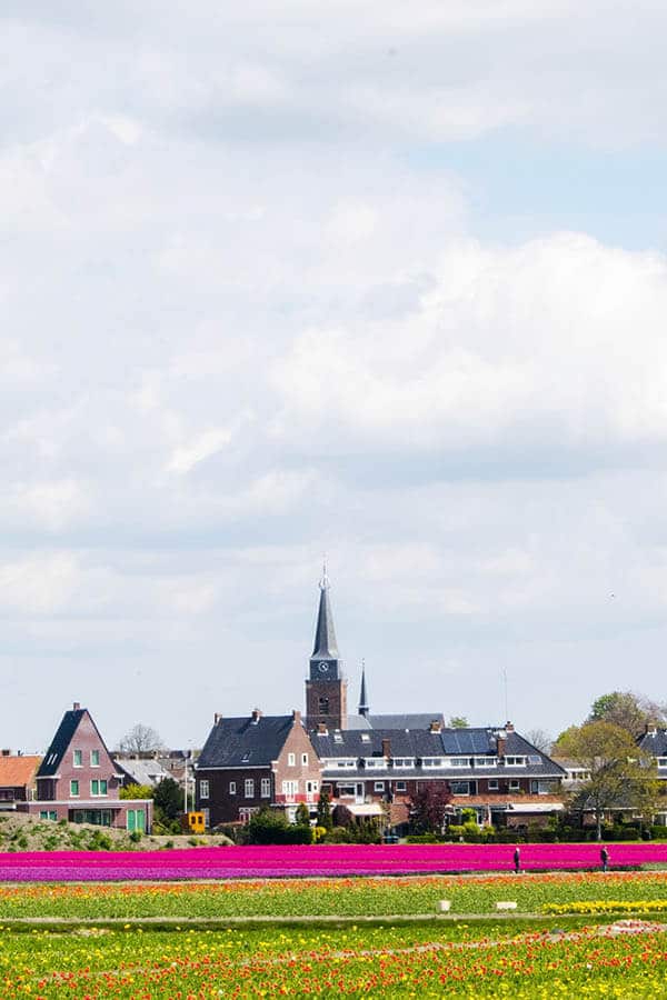 View of Hillegom, one of the beautiful villages of the Bollenstreek in the Netherlands.  This area is where Keukenhof is located! #travel #netherlands #holland #bollenstreek