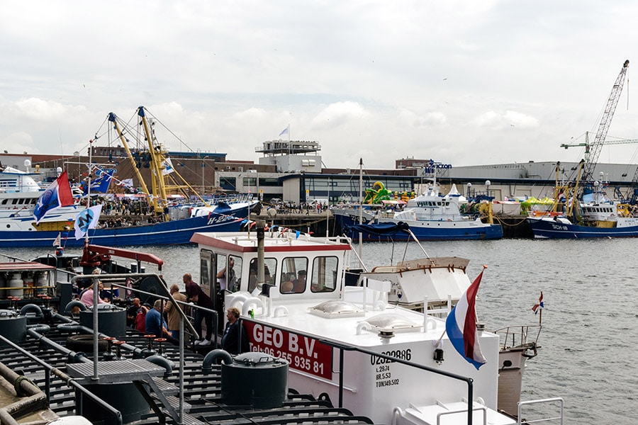 Für den Vlaggetjesdag in Scheveningen geschmückte Schiffe im Hafen