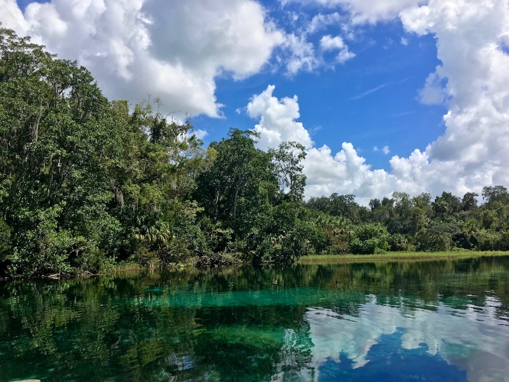 Photo of Rainbow Springs State Park in Marion County, Florida. This park is the perfect day trip from Orlando, Florida! #florida #orlando