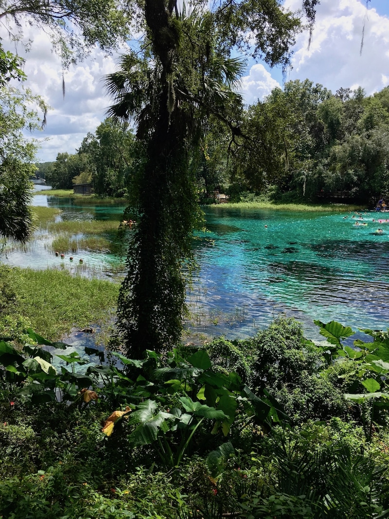 Photo of Rainbow Springs headwaters in Dunnellon Florida, one of the most beautiful day trips from Orlando, Florida! #USA #travel #Florida #Orlando