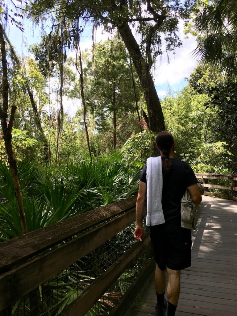 Man walking in Rainbow Springs State Park, one of the best budget day trips from Orlando Florida!