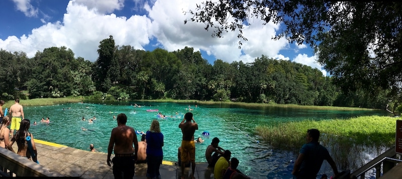 Photo of Rainbow Springs headwaters, a family-friendly day trip from Orlando Florida. Perfect for those looking for a budget day trip from Orlando!