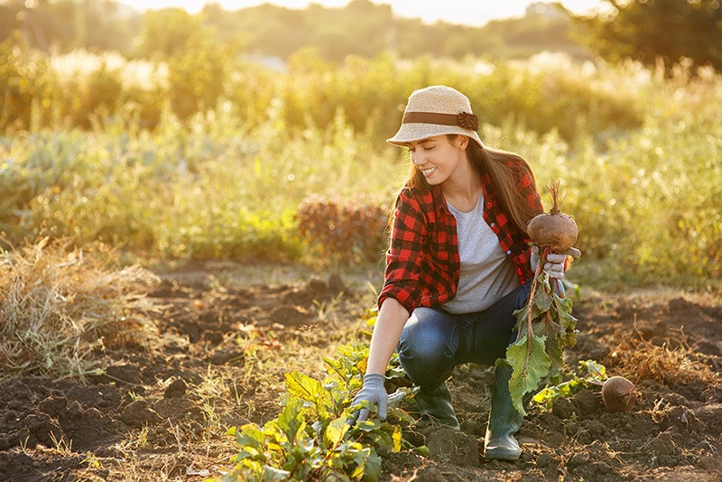 Photo of woman gardening for extra money. Read innovative ideas on how to make extra money on the side, so you can make more money for travel!