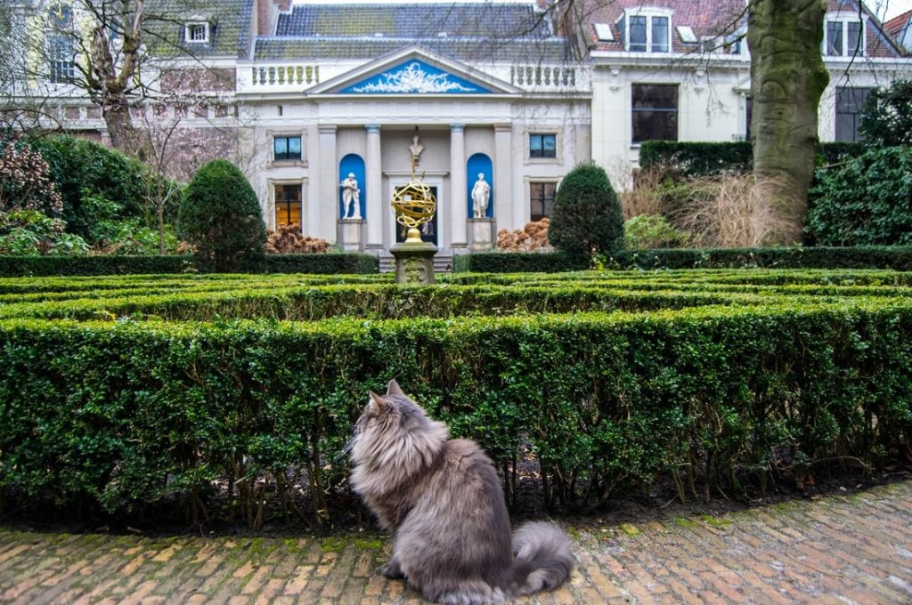 Photo of beautiful cat in Museum van Loon, one of Amsterdam's secret places to visit.  Browsing a museum is always romantic as a date! #Amsterdam 