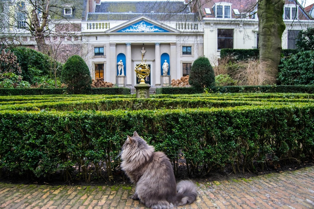 Photo of beautiful cat in Museum van Loon, one of Amsterdam's secret places to visit. Don't miss the secret garden behind the canal house. Want to get off the beaten path in Amsterdam? Read tips for secret spots in Amsterdam! #Amsterdam 