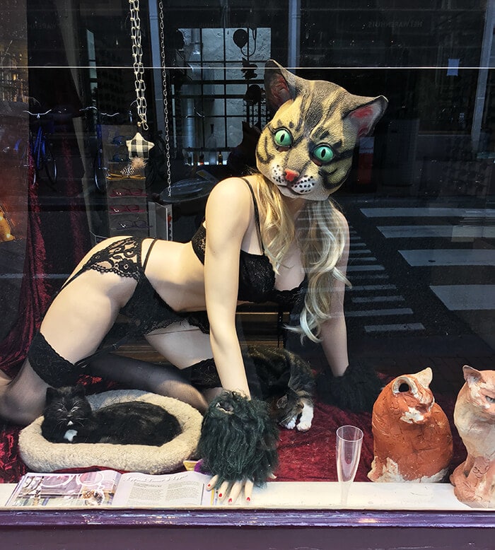 Strange cat themed display in Amsterdam, the Netherlands. Read about the best cat themed activities in Amsterdam for cat lovers.