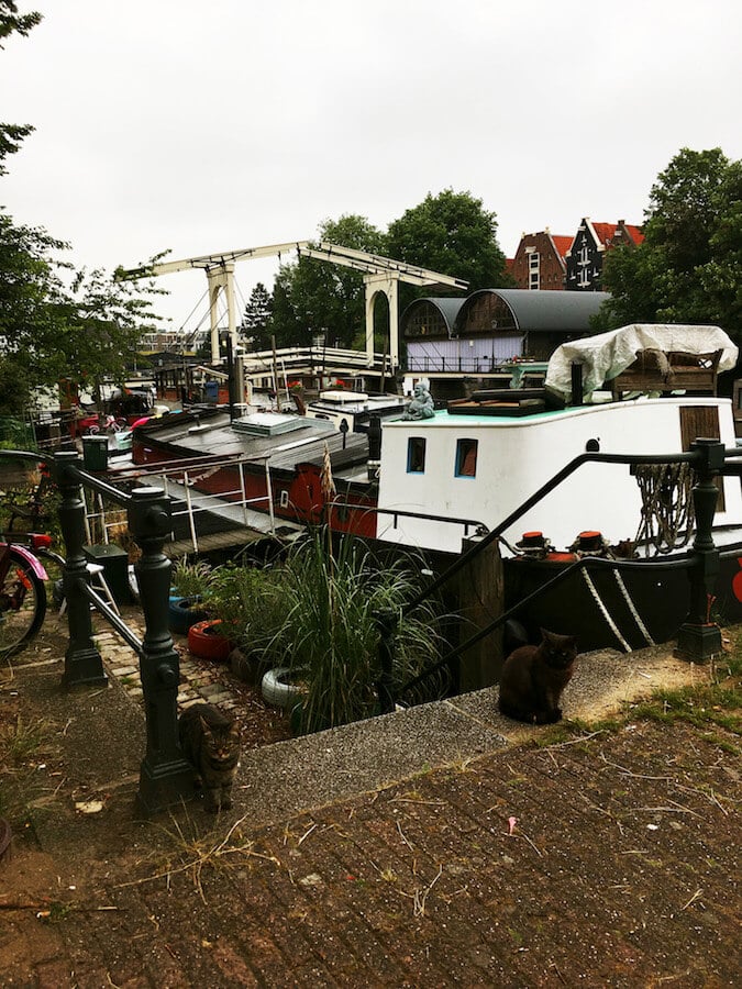 Beautiful old wooden bridge in the Western Islands in Amsterdam.  This beautiful neighborhood is perfect for a quiet stroll through Amsterdam! #amsterdam #travel #netherlands