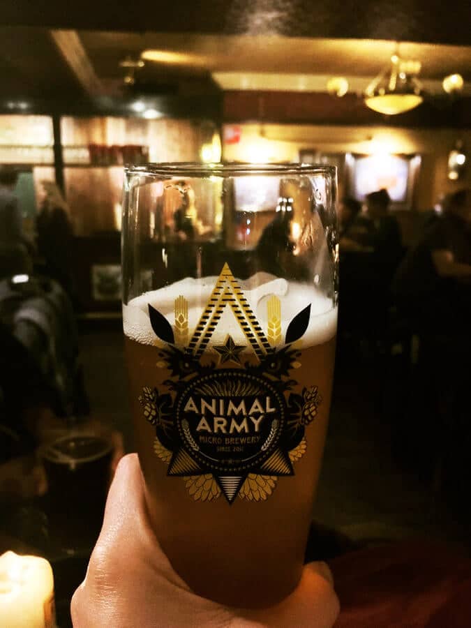 Glass of beer at Animal Army beer at the Fiddler in the Hague.  The Fiddler is the largest bar in the Hague. #travel #beer #craftbeer