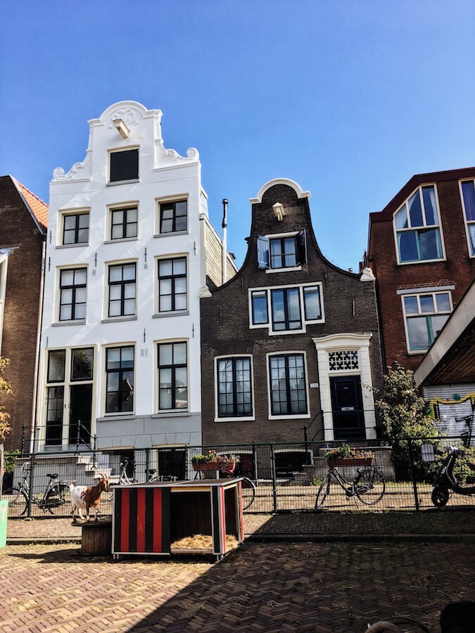 View of a children's petting zoo and sanctuary in the middle of Amsterdam.  This off the beaten path gem can't be missed #travel #netherlands #amsterdam #holland