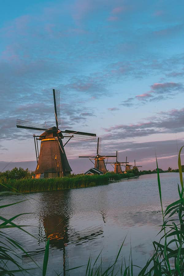 Beautiful pink and purple colors in sky with rows of windmills in Kinderdijk, the Netherlands