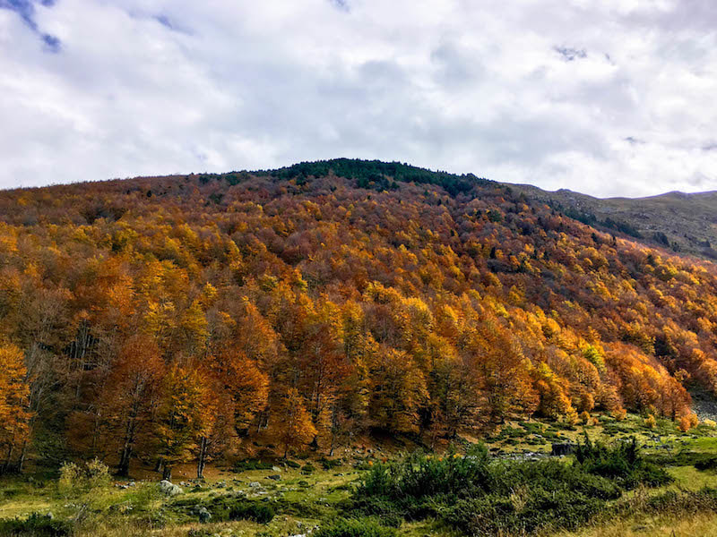 Schönes Herbstlaub im Sharr-Gebirge im Kosovo. Sehen Sie anhand von über 40 schönen Fotos aus dem Kosovo, warum Sie den Kosovo besuchen sollten. Entdecken Sie das Sar-Gebirge.