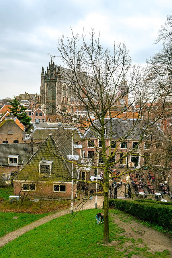 View from De Burcht in Leiden.  This beautiful park is is known as Leiden's castle.  It's one of the best viewpoints in the city! #travel #leiden #holland #netherlands