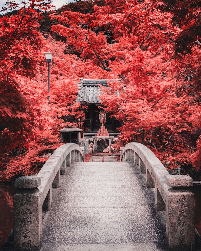 Beautiful photo of the foliage at the Nanzenji temple in Kyoto, one of the most beautiful temples in Kyoto. Click for inspiration for the best temples to visit in Kyoto. #travel #asia #japan #kyoto #foilage 