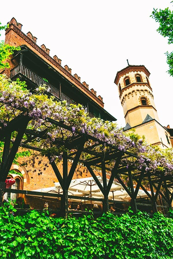 Wisteria with a view of Borgo Medieval, Turin's medieval village within the park that is free to visit!