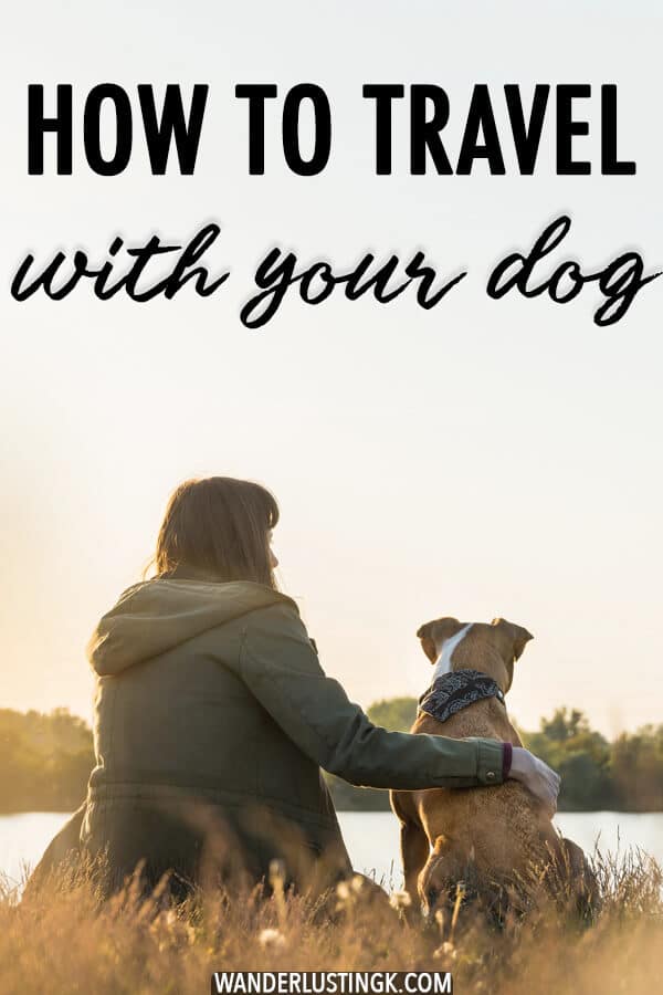 Planning to travel with a dog? Some tips to keep in mind when traveling internationally with your dog and moving abroad with your dog. #travel #pets  